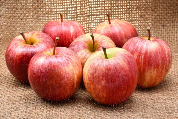 Apple - Fuji Apples - 5lb bag – Cypress Creek Co Op