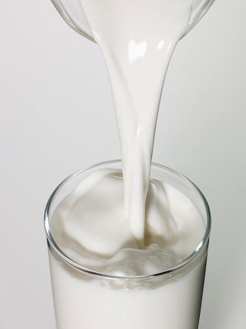 Milk - Whole Milk - 1 Gallon - Dakin