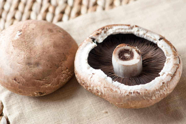 Mushroom - Portobello Mushroom - Large - 2 per order – Cypress